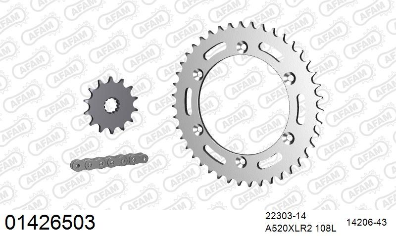 520XRR3 108 ARS (CLIP) GOLD & SPROCKETS