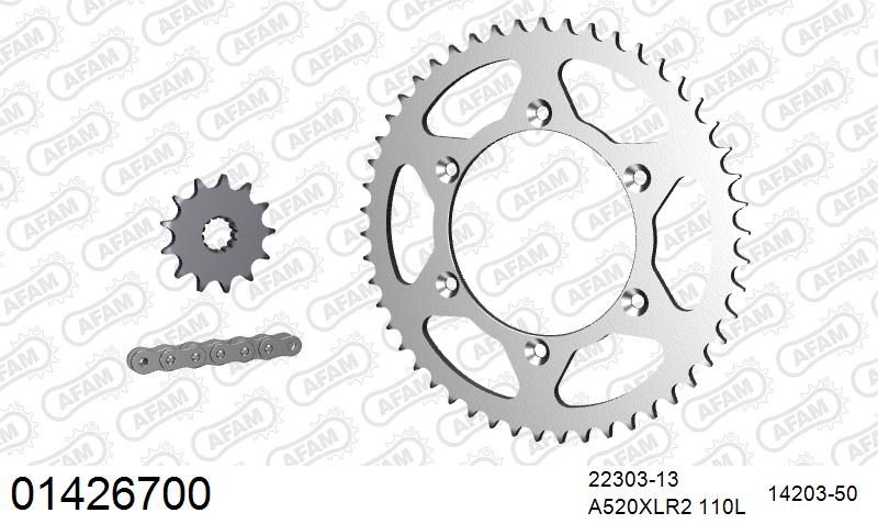 520XRR3 110 ARS (CLIP) GOLD & SPROCKETS