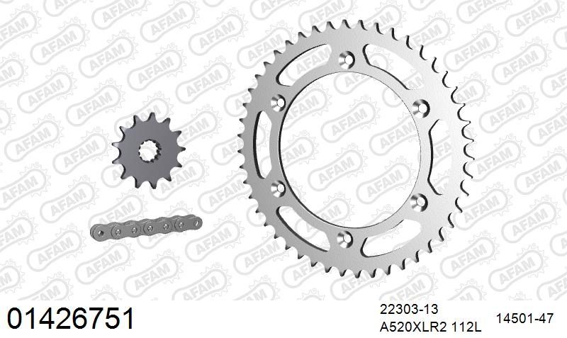 520XRR3 112 ARS (CLIP) GOLD & SPROCKETS