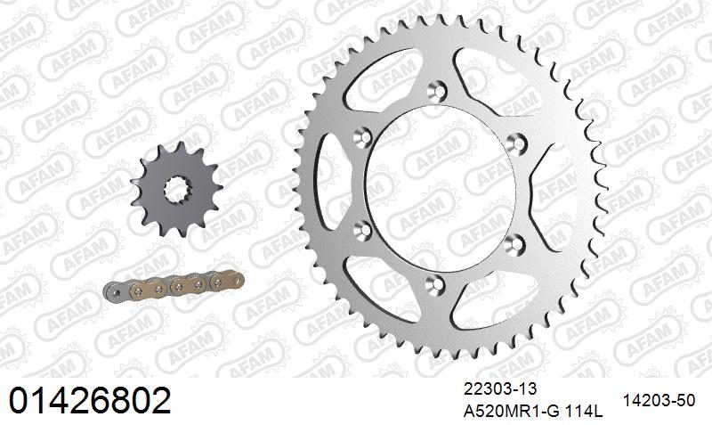 520MR2 114 ARS (CLIP) GOLD & SPROCKETS