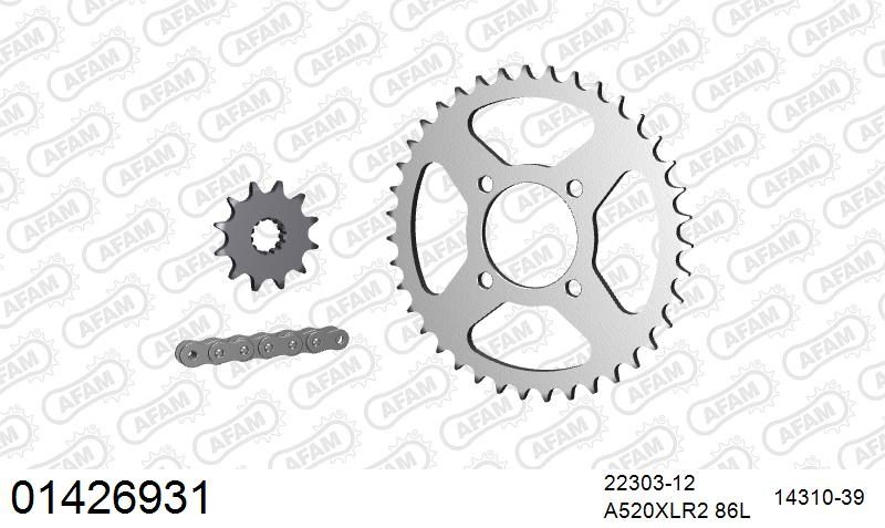 520XRR3 86 ARS (CLIP) GOLD & SPROCKETS