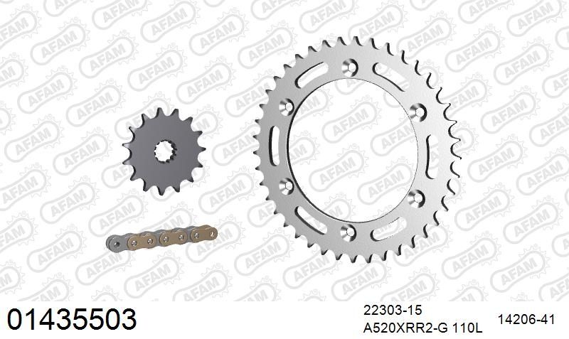 520XRR3 110 ARS (CLIP) GOLD & SPROCKETS