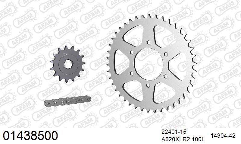 520XRR3 100 ARS (CLIP) GOLD & SPROCKETS