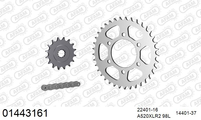 520XRR3 98 ARS (CLIP) GOLD & SPROCKETS