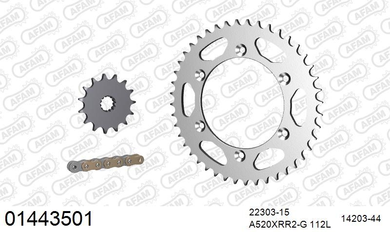 520XRR3 112 ARS (CLIP) GOLD & SPROCKETS
