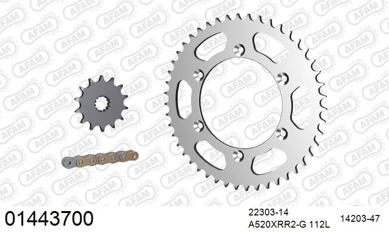 520XRR3 112 ARS (CLIP) GOLD & SPROCKETS
