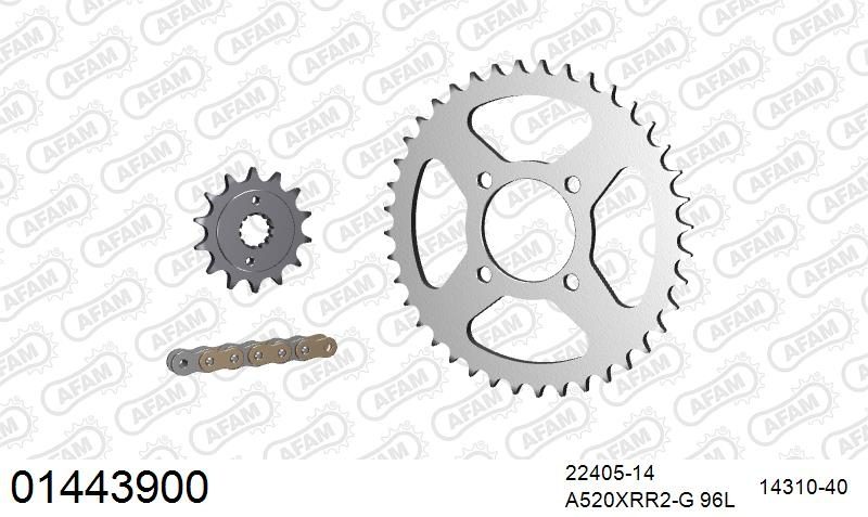 520XRR3 96 ARS (CLIP) GOLD & SPROCKETS