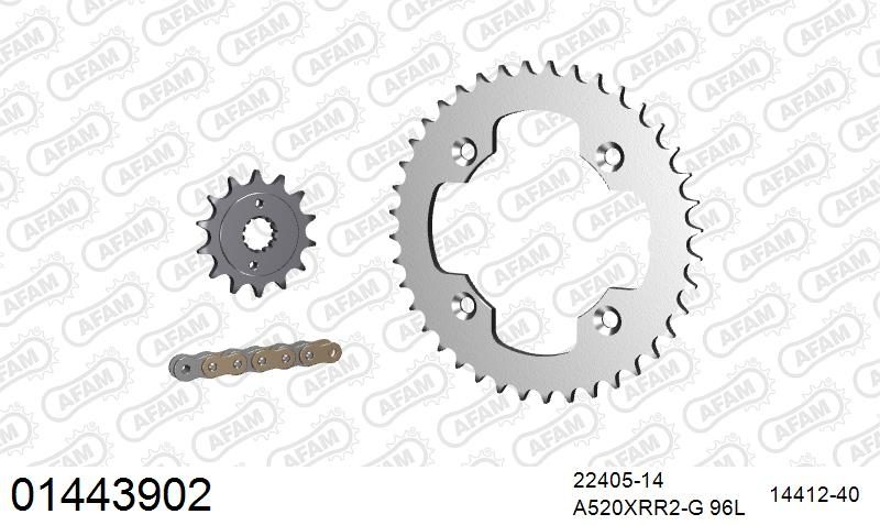 520XRR3 96 ARS (CLIP) GOLD & SPROCKETS