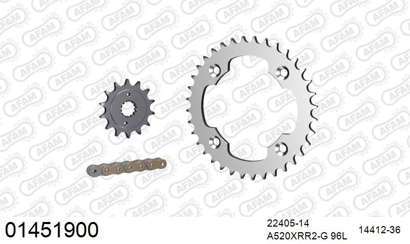 520XRR3 96 ARS (CLIP) GOLD & SPROCKETS