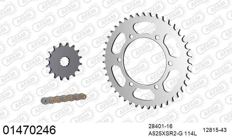 525XSR2 114 MRS (RIVET) GOLD & SPROCKETS