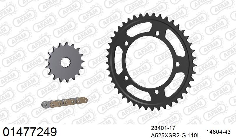 525XSR2 110 MRS (RIVET) GOLD & SPROCKETS
