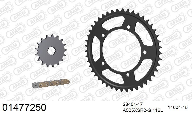 525XSR2 116 MRS (RIVET) GOLD & SPROCKETS