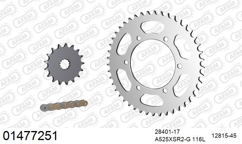 525XSR2 116 MRS (RIVET) GOLD & SPROCKETS