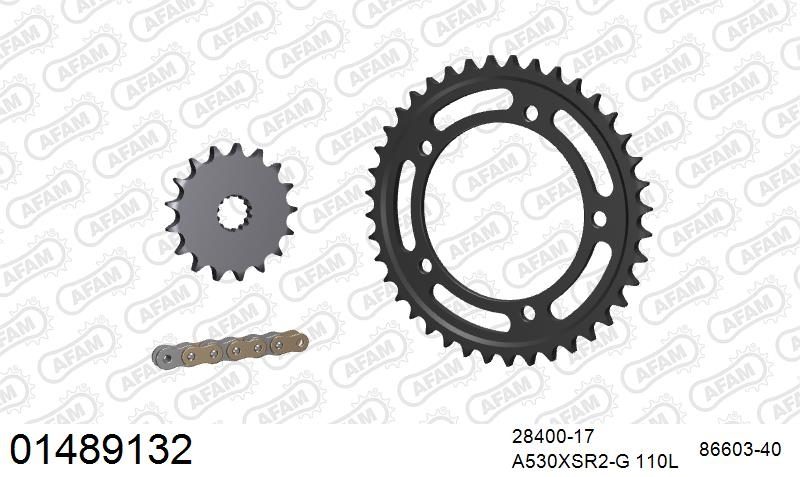 530XSR2 110 MRS (RIVET) GOLD & SPROCKETS
