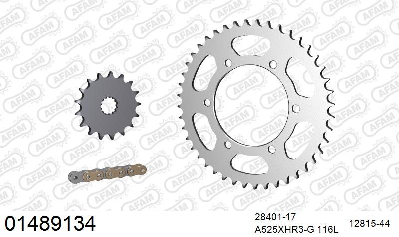 525XHR3 116 MRS (RIVET) GOLD & SPROCKETS