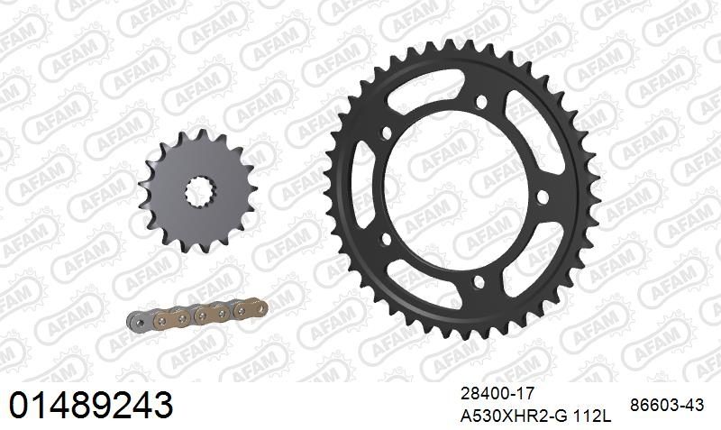 530XHR2 112 MRS (RIVET) GOLD & SPROCKETS