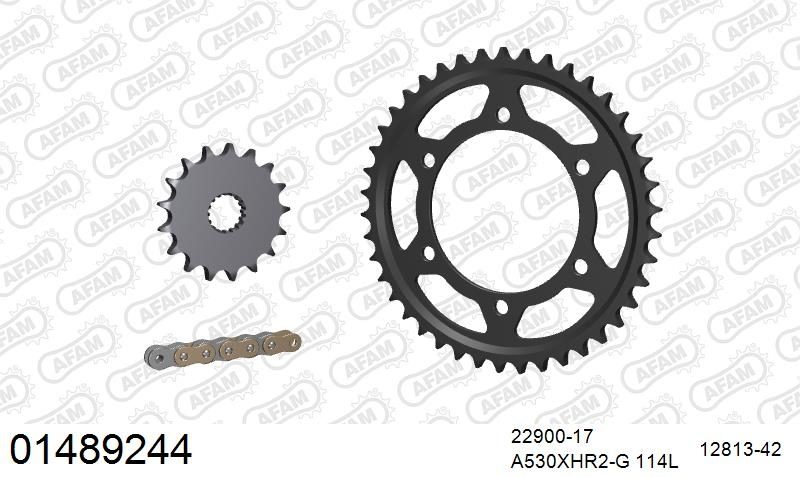 530XHR2 114 MRS (RIVET) GOLD & SPROCKETS