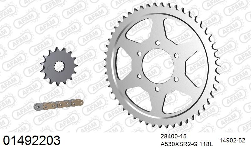530XSR2 118 MRS (RIVET) GOLD & SPROCKETS