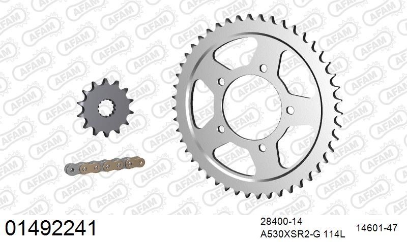 530XSR2 114 MRS (RIVET) GOLD & SPROCKETS