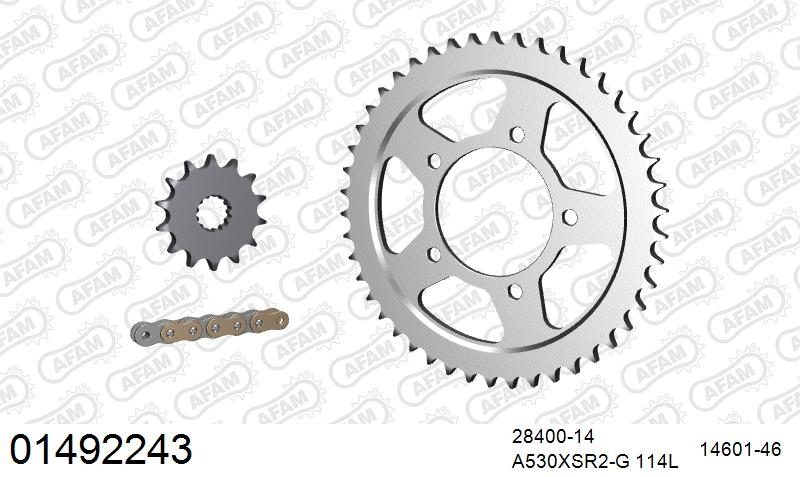 530XSR2 114 MRS (RIVET) GOLD & SPROCKETS