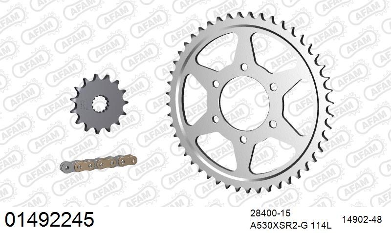 530XSR2 114 MRS (RIVET) GOLD & SPROCKETS