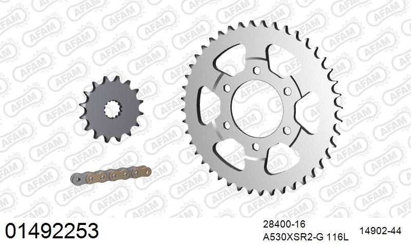 530XSR2 116 MRS (RIVET) GOLD & SPROCKETS