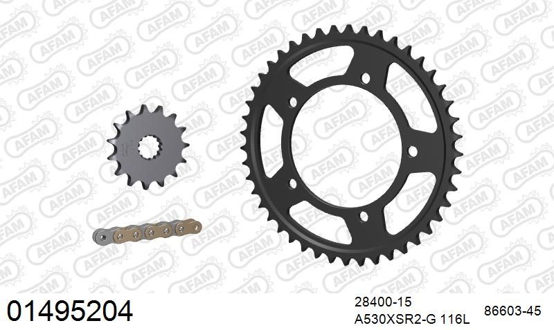 530XSR2 116 MRS (RIVET) GOLD & SPROCKETS