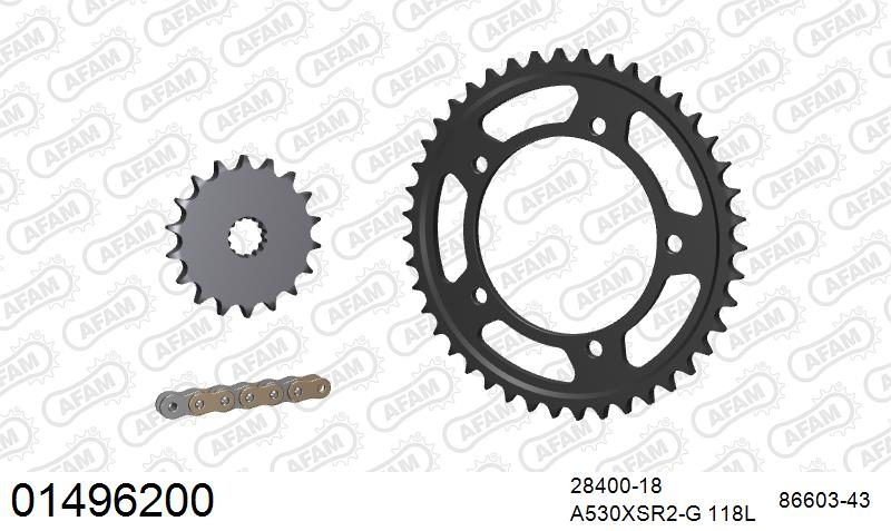 530XSR2 118 MRS (RIVET) GOLD & SPROCKETS