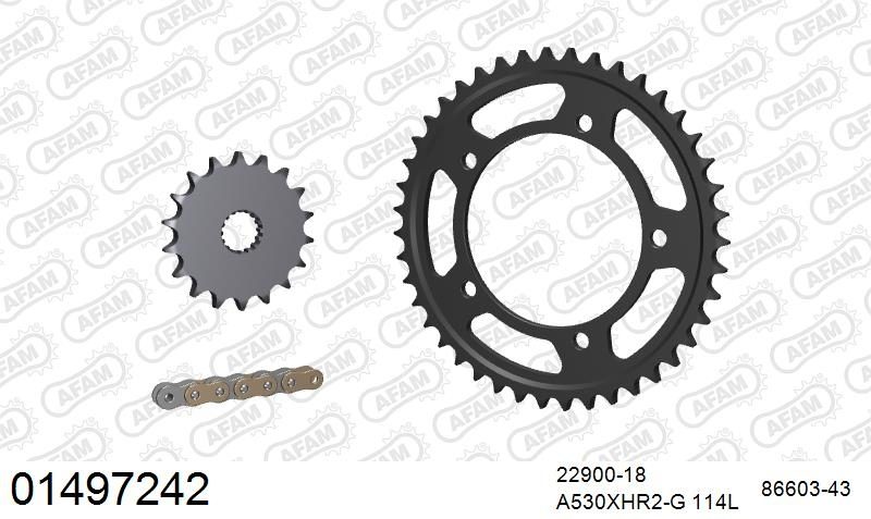 530XHR2 114 MRS (RIVET) GOLD & SPROCKETS
