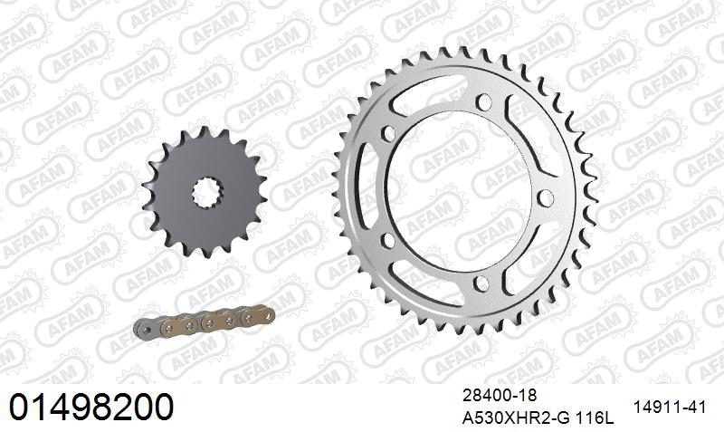 530XHR2 116 MRS (RIVET) GOLD & SPROCKETS