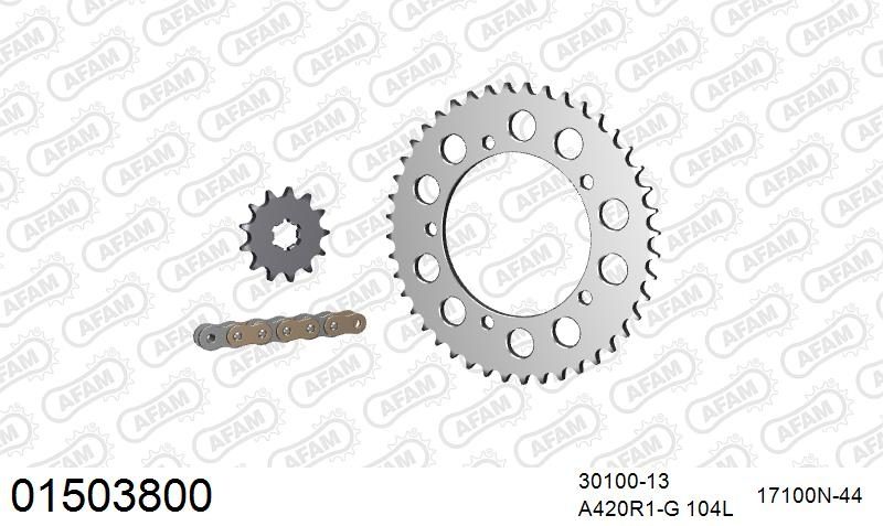 420R1 104 AR (CLIP) GOLD & SPROCKETS