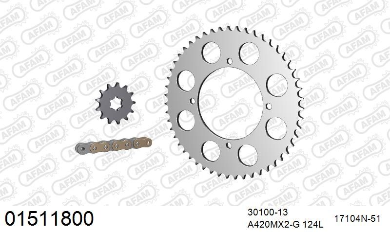 420MX2 124 AR (CLIP) GOLD & SPROCKETS