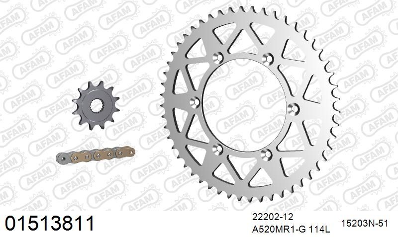 520MR2 114 ARS (CLIP) GOLD & SPROCKETS