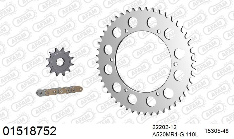 520MR2 110 ARS (CLIP) GOLD & SPROCKETS