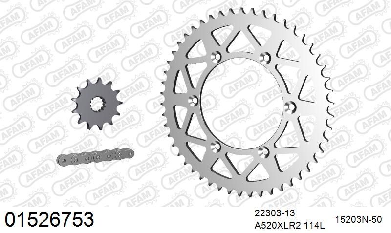 520XRR3 114 ARS (CLIP) GOLD & SPROCKETS