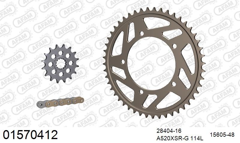 520XSR 114 MRS (RIVET) GOLD & SPROCKETS
