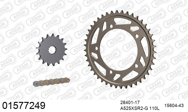 525XSR2 110 MRS (RIVET) GOLD & SPROCKETS