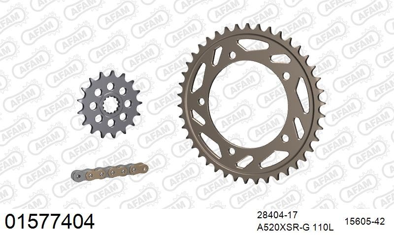 520XSR 110 MRS (RIVET) GOLD & SPROCKETS