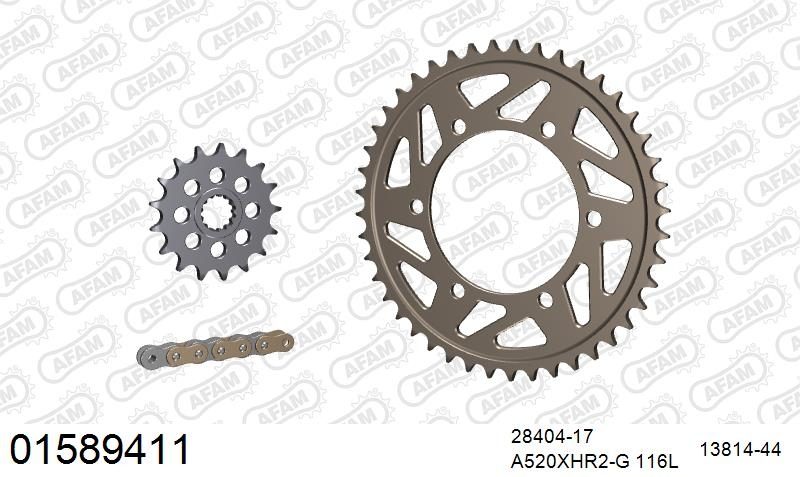 520XHR2 116 MRS (RIVET) GOLD & SPROCKETS
