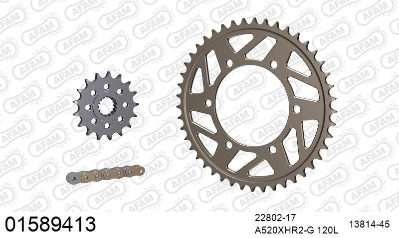 520XHR2 120 MRS (RIVET) GOLD & SPROCKETS