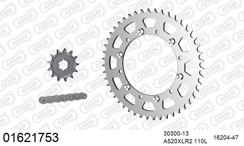 520XRR3 110 ARS (CLIP) GOLD & SPROCKETS