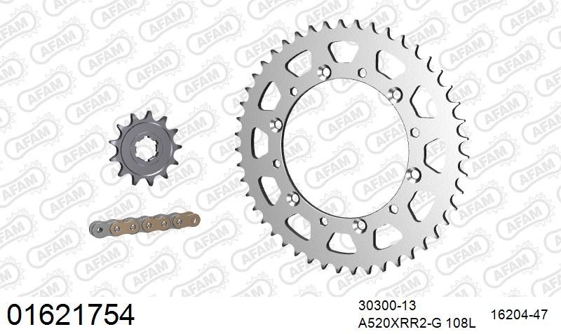 520XRR3 108 ARS (CLIP) GOLD & SPROCKETS