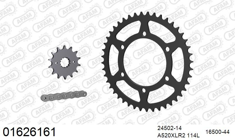 520XRR3 114 ARS (CLIP) GOLD & SPROCKETS