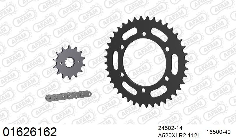 520XRR3 112 ARS (CLIP) GOLD & SPROCKETS