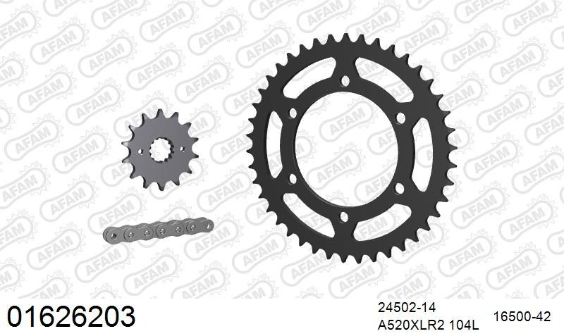 520XRR3 104 ARS (CLIP) GOLD & SPROCKETS