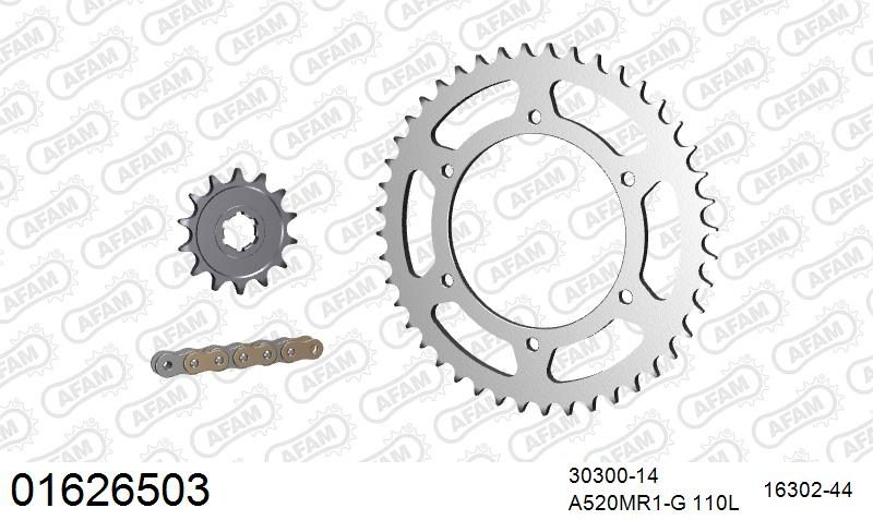 520MR2 110 ARS (CLIP) GOLD & SPROCKETS