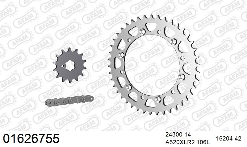 520XRR3 106 ARS (CLIP) GOLD & SPROCKETS