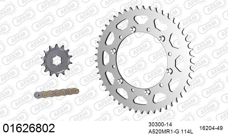 520MR2 114 ARS (CLIP) GOLD & SPROCKETS
