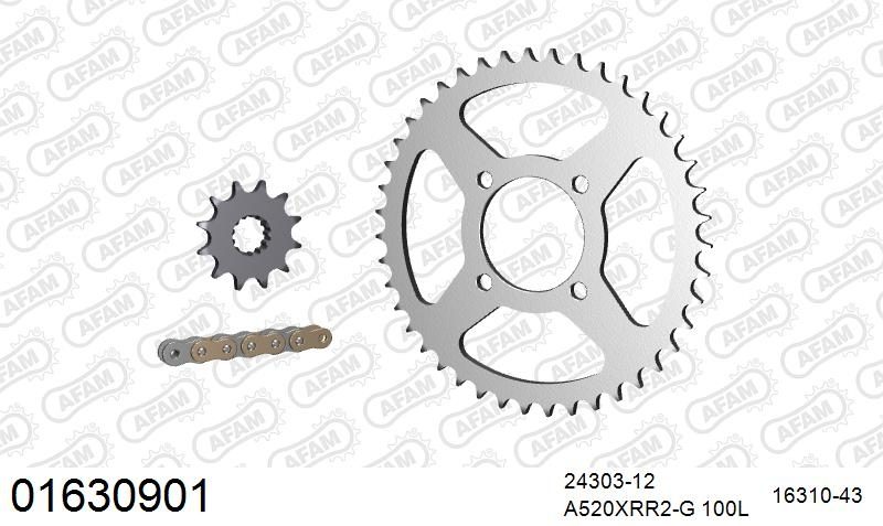 520XRR3 100 ARS (CLIP) GOLD & SPROCKETS