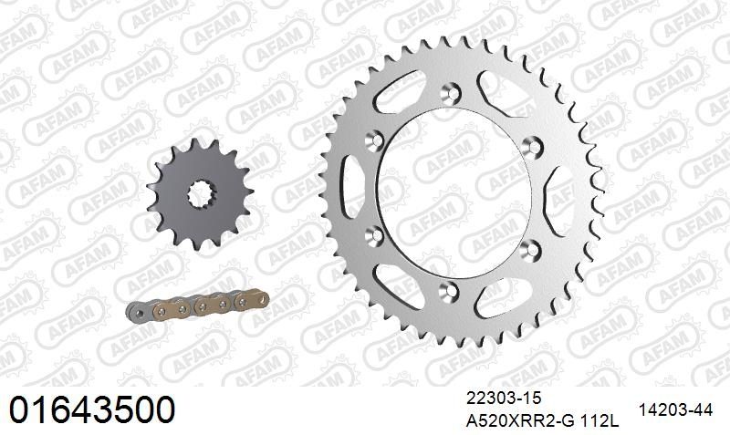 520XRR3 112 ARS (CLIP) GOLD & SPROCKETS